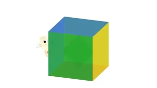vue.js立方体旋转播放特效