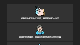 CSS3防疫宣传图文布局响应式代码