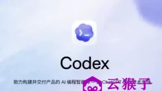 Codex零基础入门到实战全系列教程