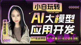 小白玩转AI大模型应用开发