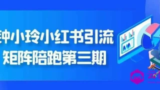 钟小玲小红书引流矩阵陪跑第三期 钟小玲小红书引流矩阵陪跑第三期