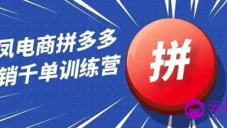 白凤电商拼多多日销千单训练营 白凤电商拼多多日销千单训练营