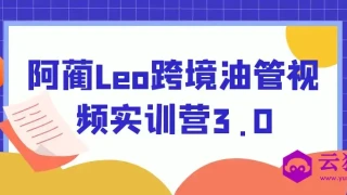 阿蔺Leo跨境油管视频实训营3.0 阿蔺Leo跨境油管视频实训营3.0