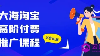 大海淘宝高阶付费推广课程 大海淘宝高阶付费推广课程