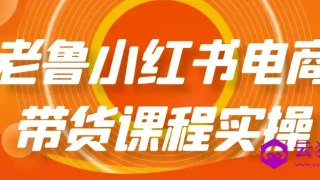 老鲁小红书电商带货课程实操 老鲁小红书电商带货课程实操