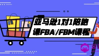亚马逊1对1陪跑课FBA/FBM课程