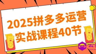 2025拼多多运营实战课程40节 2025拼多多运营实战课程40节