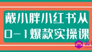 戴小胖小红书从0-1爆款实操课 戴小胖小红书从0-1爆款实操课