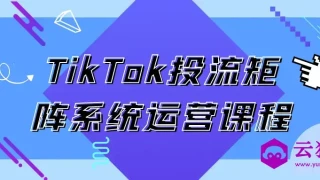 TikTok投流矩阵系统运营课程 TikTok投流矩阵系统运营课程