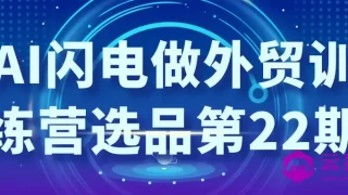 AI闪电做外贸训练营选品第22期 AI闪电做外贸训练营选品第22期