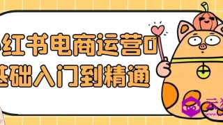 小红书电商运营0基础入门到精通 小红书电商运营0基础入门到精通