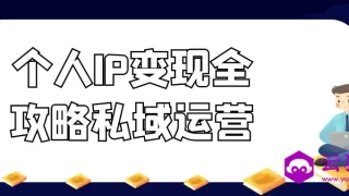 个人IP变现全攻略私域运营 个人IP变现全攻略私域运营