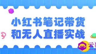 小红书笔记带货和无人直播实战