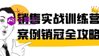 销售实战训练营案例销冠全攻略 销售实战训练营案例销冠全攻略