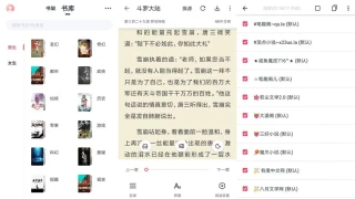 安卓荔枝阅读v1.7.0绿化版 安卓荔枝阅读v1.7.0绿化版