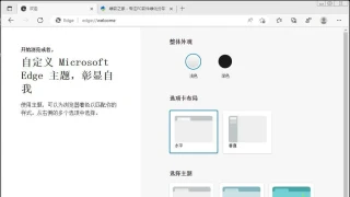 Microsoft Edge v114.0.1823.79绿色增强版 Microsoft Edge v114.0.1823.79绿色增强版