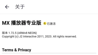 MX播放器(MX Player)专业版v1.72.5