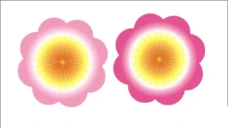 用CorelDRAW鼠绘一朵桃花实例教程 用CorelDRAW鼠绘一朵桃花实例教程