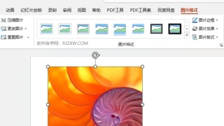 PPT图片如何设置圆形图片标注效果