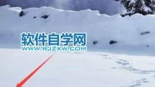 解决Windows11打不开程序的方法 解决Windows11打不开程序的方法