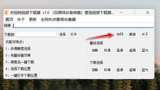 央视频下载器1.0 可选清晰度在线播放下载央视网的所有视频