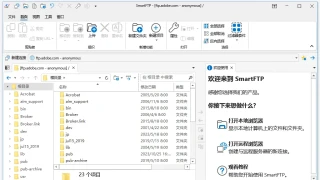 SmartFTP Enterprise v10.0.3247 简体中文修订版